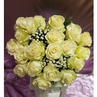 kytica 20 white roses